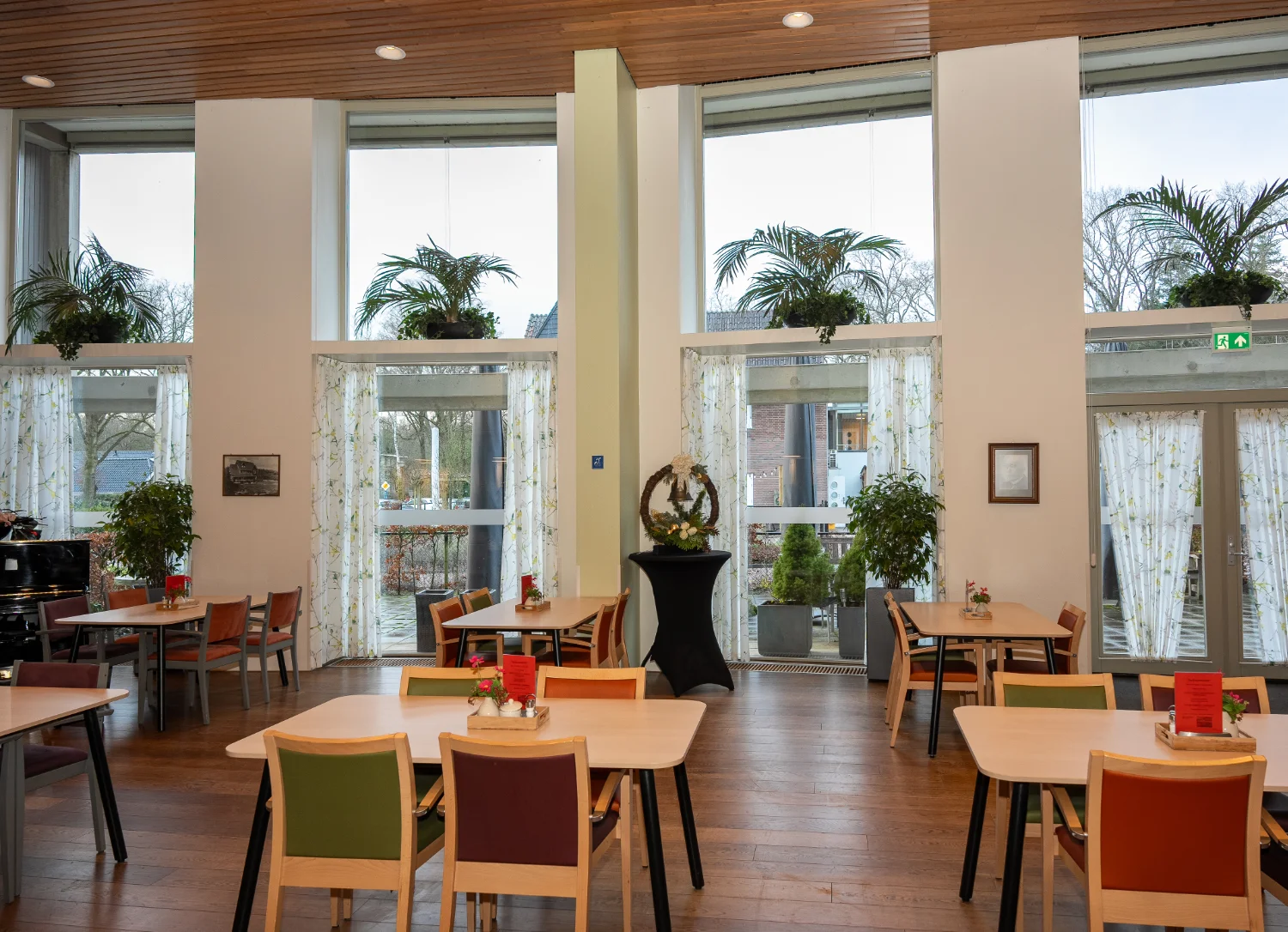 Kunstplanten in de Algemene ruimte