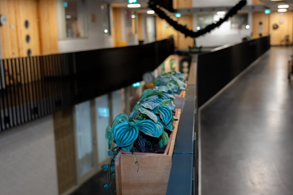 aankleding balkons planten